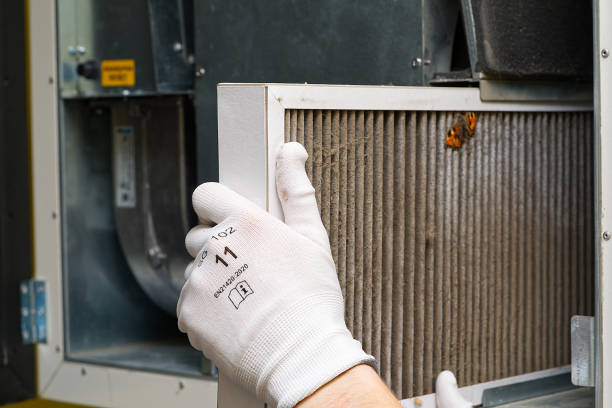 Air Quality Test in Loyal, WI